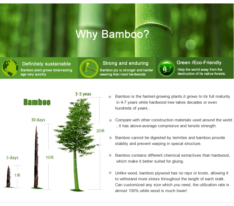 Pricing 3layer Carbonized Laminated Vertical Bamboo Plywood Panel for Worktops