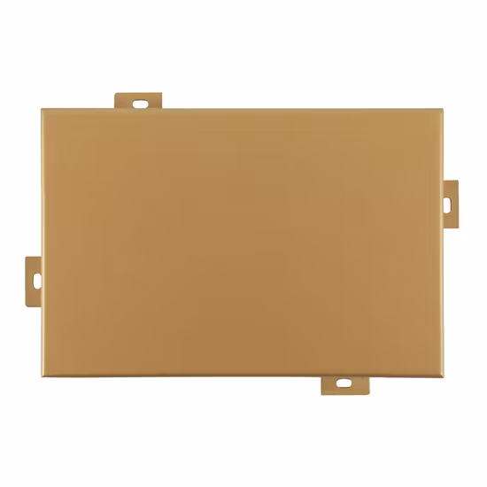 Materiale da costruzione esterno, spessore: 18 mm, pannelli di bambù intrecciati per rivestimento delle pareti